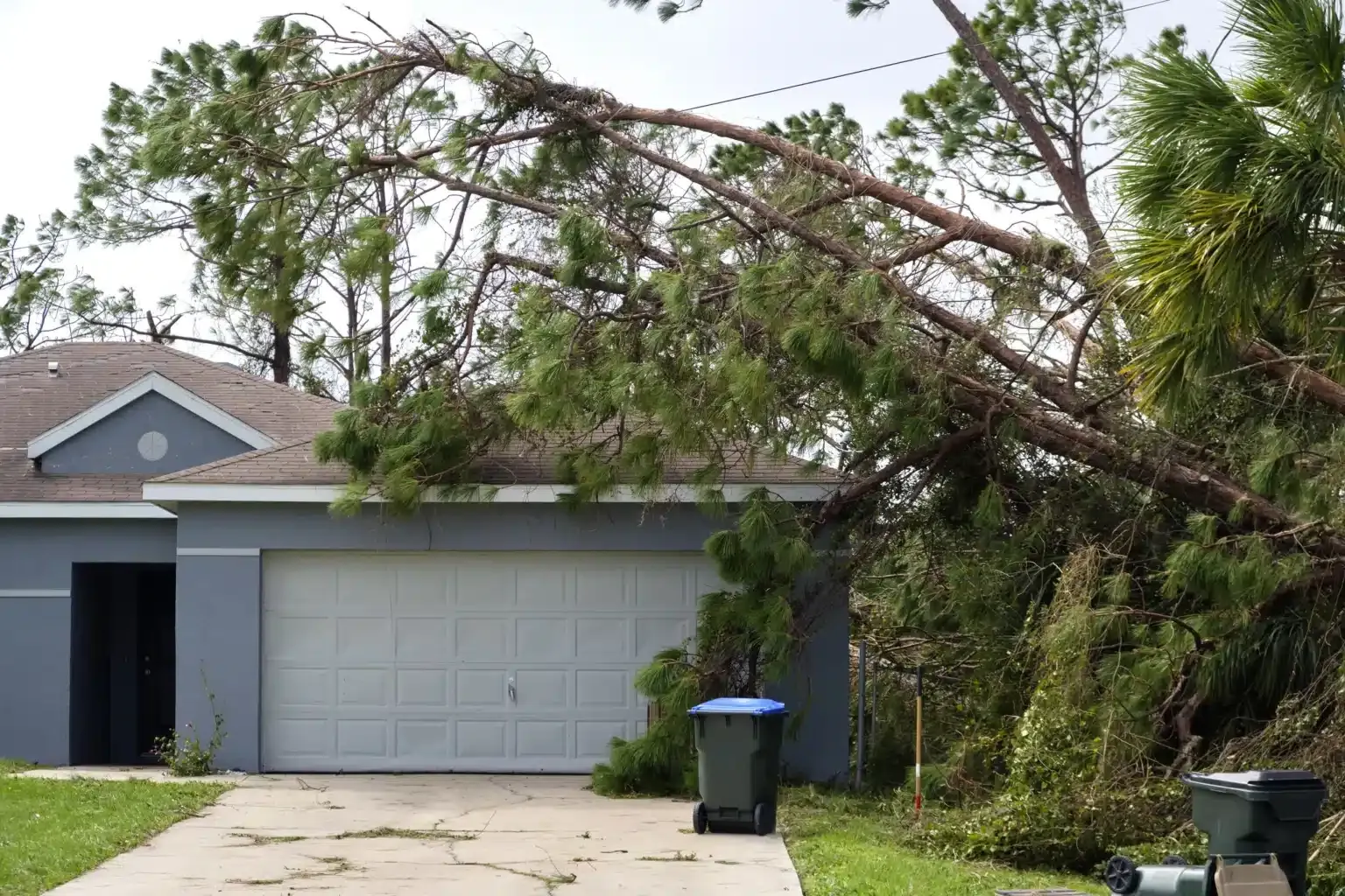 Fallen Tree on Garage